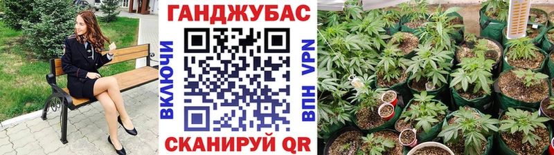 Наркотические вещества Галич Бошки Шишки  Кокаин  hydra онион  Меф мяу мяу 