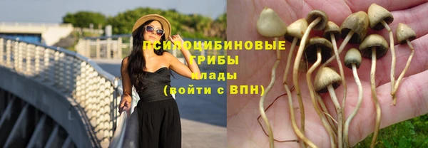 СК Балахна