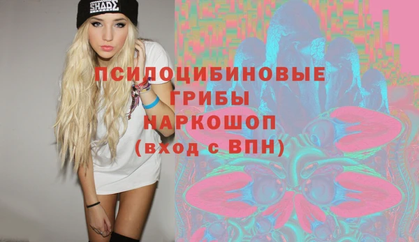 гашик Елизово