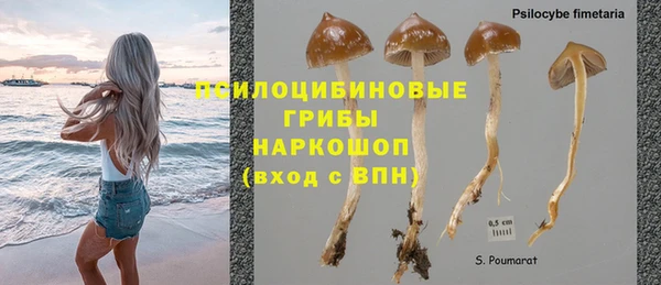бошки Баксан