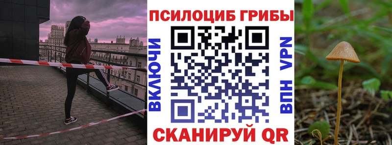 Галлюциногенные грибы Magic Shrooms  хочу   Галич 